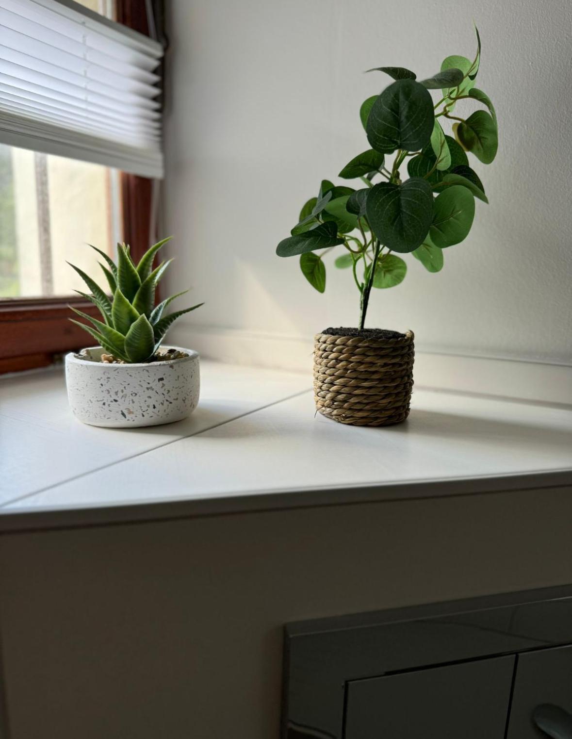 Ferienwohnung Neue Quickbox Thale Exterior foto