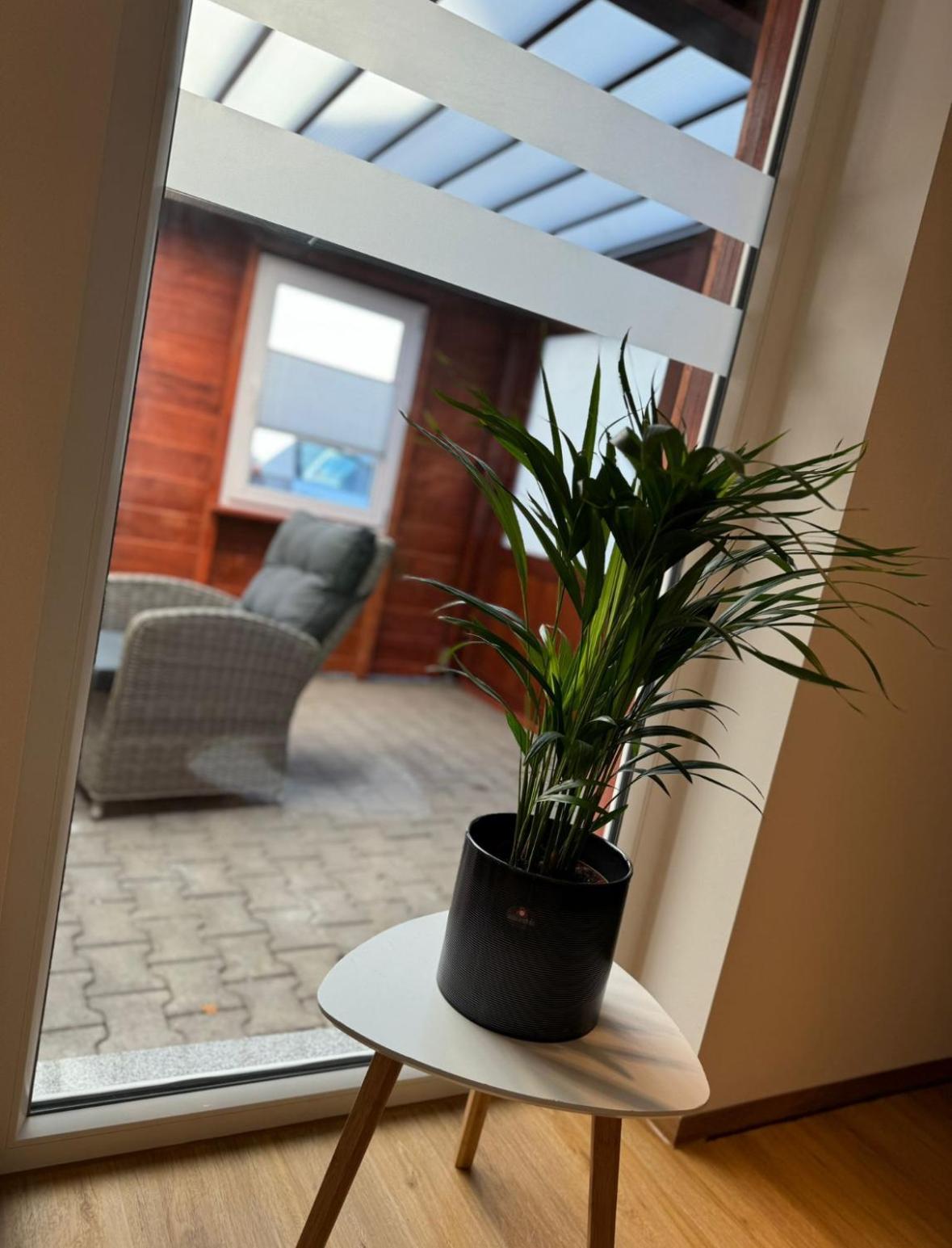 Ferienwohnung Neue Quickbox Thale Exterior foto